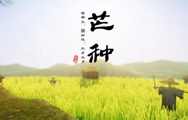 芒種！