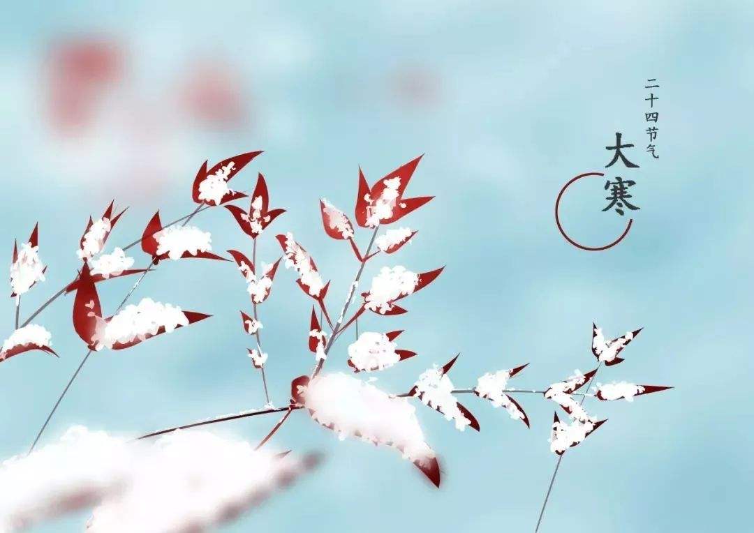 大寒雪未消，清霜梅已驕!